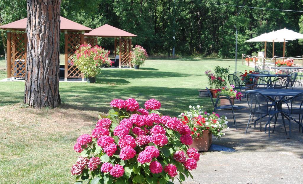 Agriturismo Antica Riserva Pensionat Castiglione del Lago Eksteriør billede